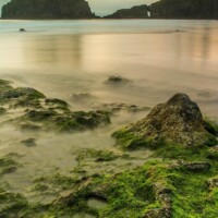 Irish Shoreline Irish Shoreline ALT