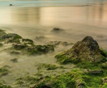 Irish Shoreline Irish Shoreline ALT